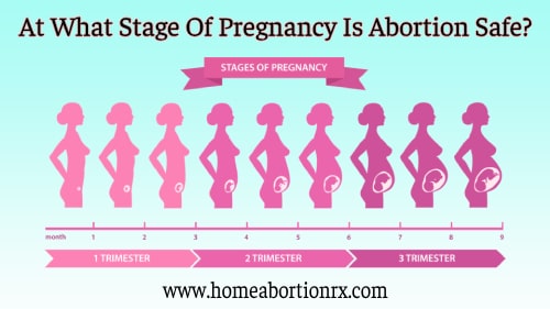 stages-of-pregnancy