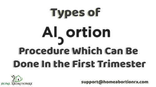 Types-of-Abortion-Procedure-Which-Can-Be-Done-In-the-First-Trimester