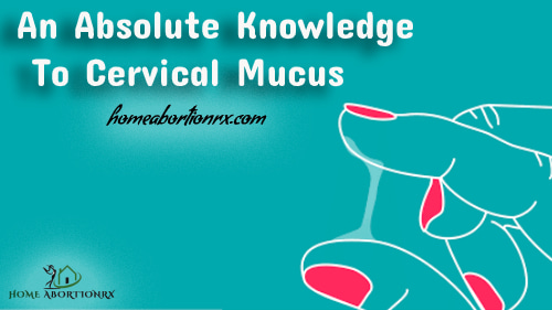 An-Absolute-Knowledge-To-Cervical-Mucus